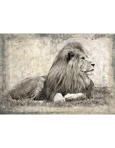 Recuerdos de África I