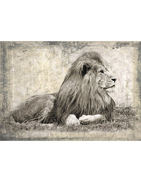 Recuerdos de África I