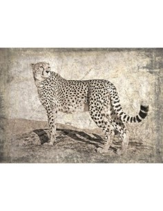 Memorias de África II