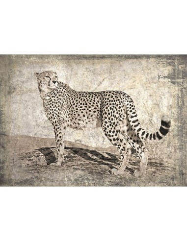 Memorias de África II