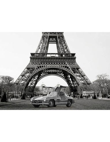 Roadster bajo la Torre Eiffel (BW)