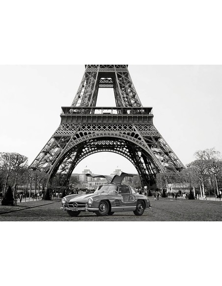 Roadster bajo la Torre Eiffel (BW)