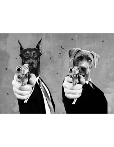 Perros de reservorio