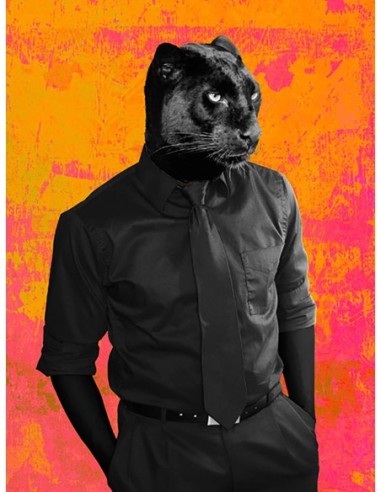 El caballero oscuro (versión pop)