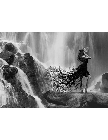 La belleza de la naturaleza