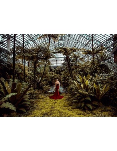 Paisaje femenino poco convencional 2, Jardin d'Hiver