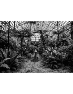 Paisaje femenino no convencional n. 2, Jardin d'Hiver (BW)