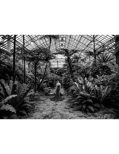 Paisaje femenino no convencional n. 2, Jardin d'Hiver (BW)