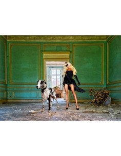 Paisaje femenino poco convencional 7, En el palacio