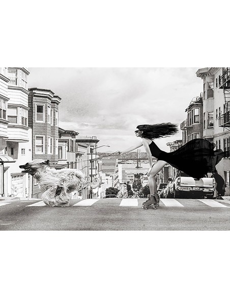 Patinaje en San Francisco