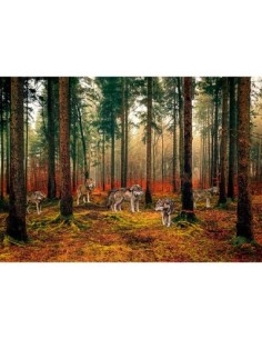 Manada de lobos en el bosque