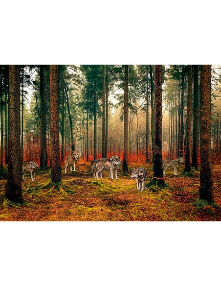 Manada de lobos en el bosque