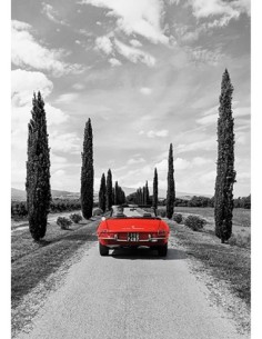 Coche deportivo en la Toscana (BW)