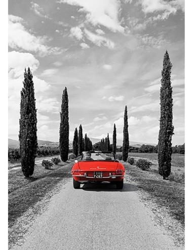 Coche deportivo en la Toscana (BW)