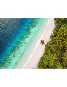 Playa tropical, vista aérea