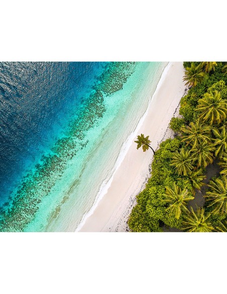 Playa tropical, vista aérea