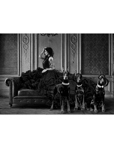La dama oscura y sus mascotas