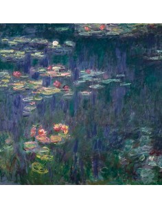 Nenúfares: Reflejos verdes (detalle)