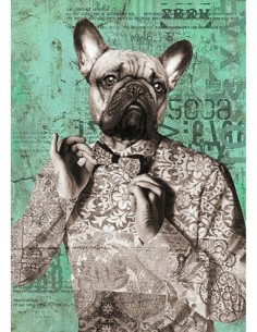 Dandy Boy (blanco y negro)