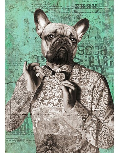 Dandy Boy (blanco y negro)