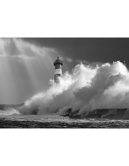 La gran ola (blanco y negro)