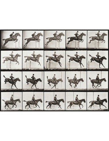 Locomoción animal, lámina 637