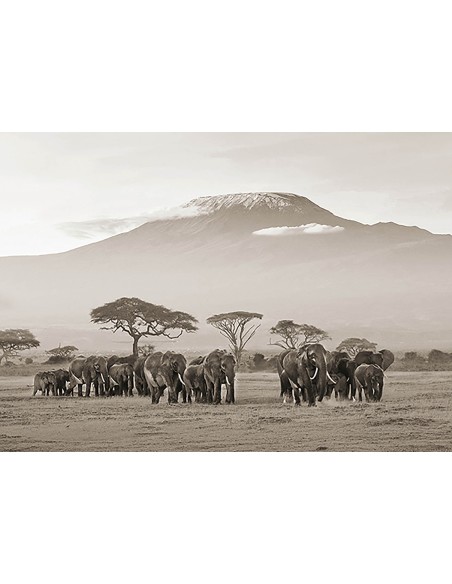 Kenia, Parque Nacional Amboseli