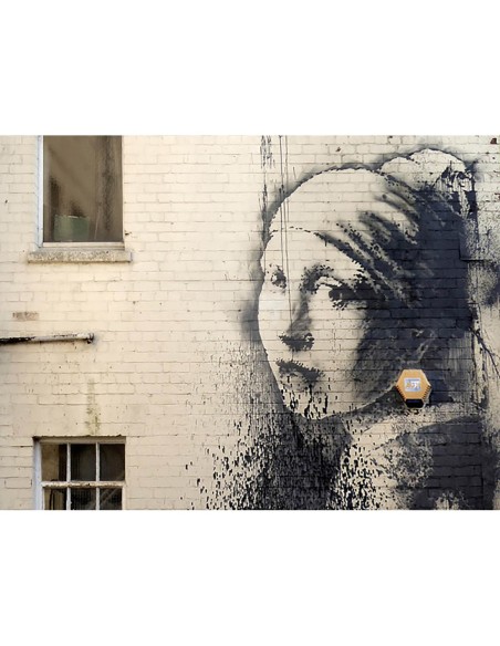 Hanover Place, Bristol (grafiti atribuido a Banksy)
