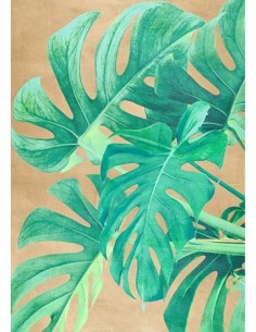 Hojas tropicales II