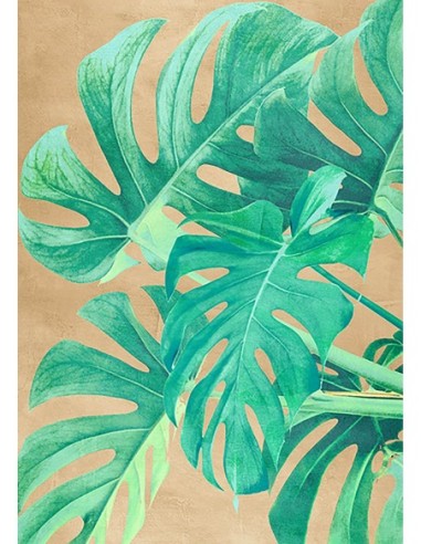 Hojas tropicales II