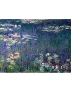 Nenúfares: Reflejos verdes