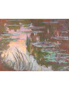 Nenúfares, sol poniente