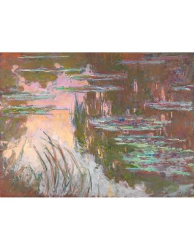 Nenúfares, sol poniente