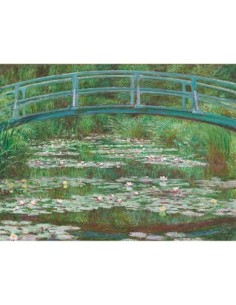 Piscina de nenúfares