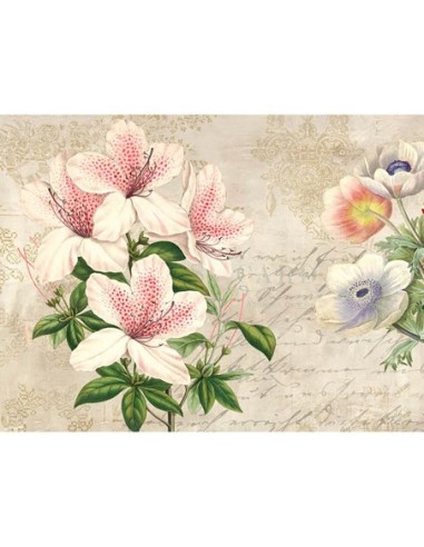 Botánica moderna II