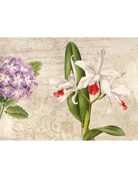 Botánica moderna III