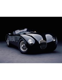 Jaguar C-Type de 1951