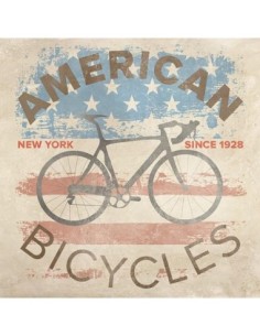 Bicicletas americanas