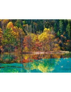 Bosque con colores otoñales, Sichuan, China