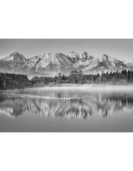 Alpes de Algovia y lago Hopfensee, Baviera, Alemania (BW)
