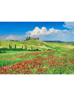 Casa rural con cipreses y amapolas, Val d'Orcia, Toscana