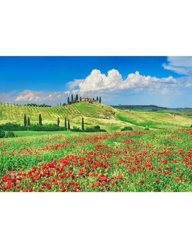 Casa rural con cipreses y amapolas, Val d'Orcia, Toscana