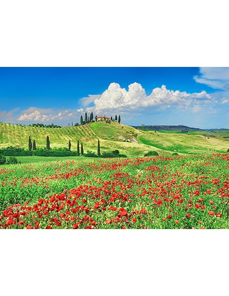 Casa rural con cipreses y amapolas, Val d'Orcia, Toscana