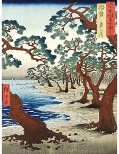 Playa Maiko en la provincia de Harima