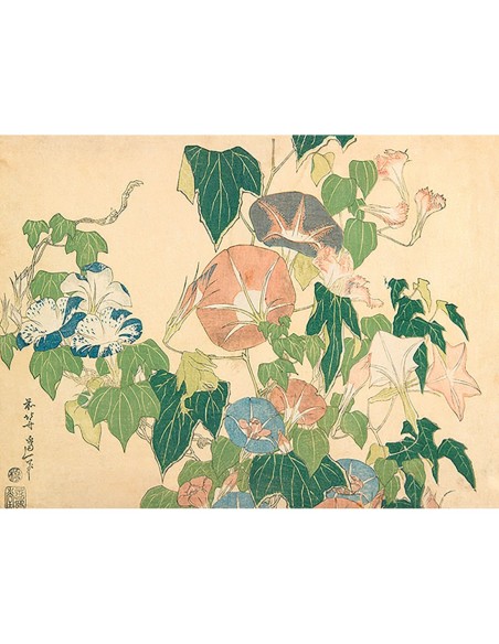 Glorias de la mañana y rana arbórea, 1833-1834