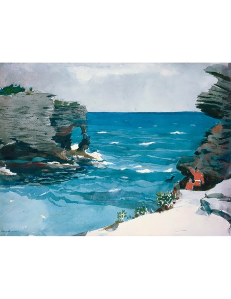 Costa rocosa, Bermudas