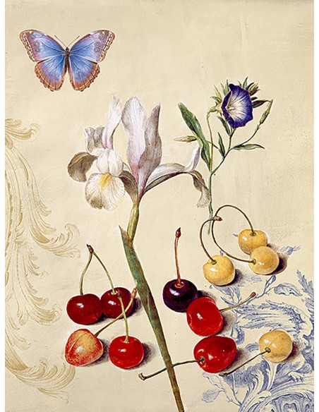 Gabinete de Curiosidades No. 1