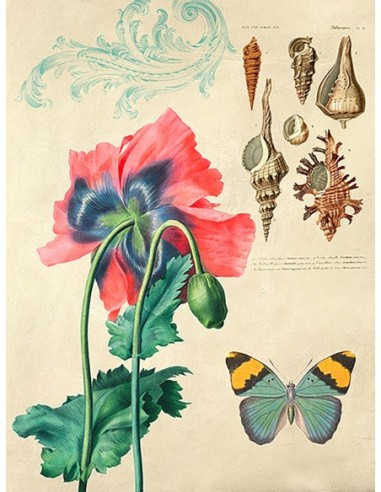 Gabinete de Curiosidades No. 3