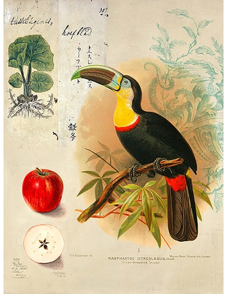 Gabinete de Curiosidades No. 4