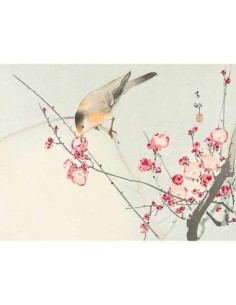 Pájaro cantor en una rama en flor